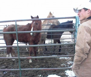 These horses are in bad shape. LDR: "This is why we do this."