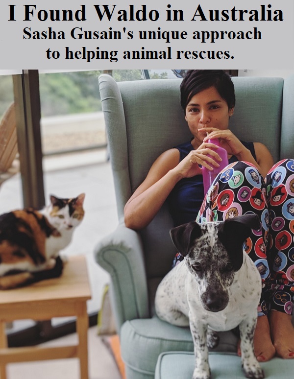 Helping animal rescues in Australia